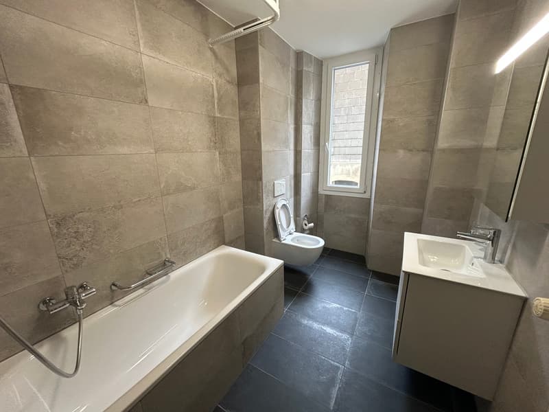 A louer: bel appartement de 3 pièces - Passage des Jardins 1 (4)
