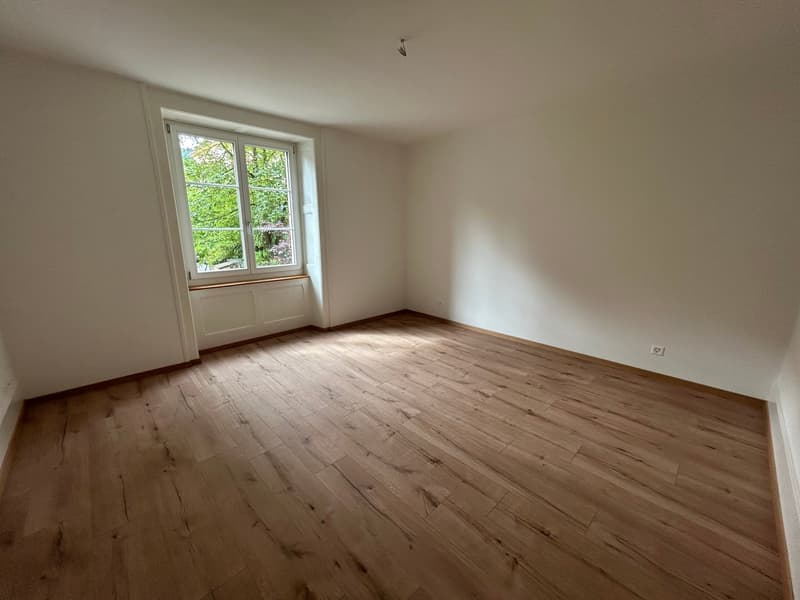 A louer: bel appartement de 3 pièces - Passage des Jardins 1 (3)