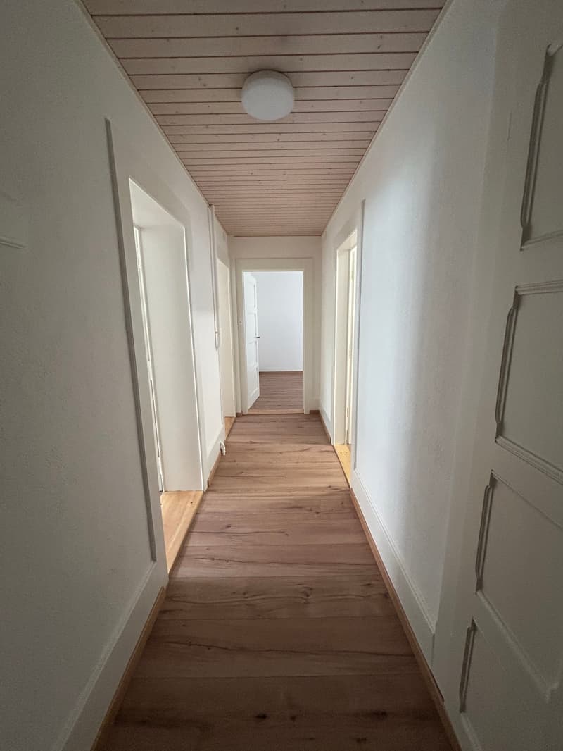 A louer: bel appartement de 3 pièces - Passage des Jardins 1 (10)