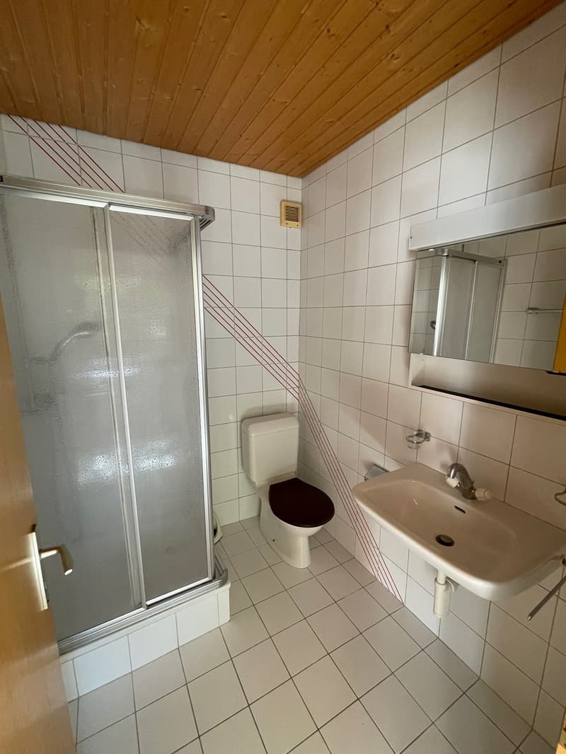 white tiled walls, white tiled floor, glass shower enclosure, white toilet, white sink, mirror