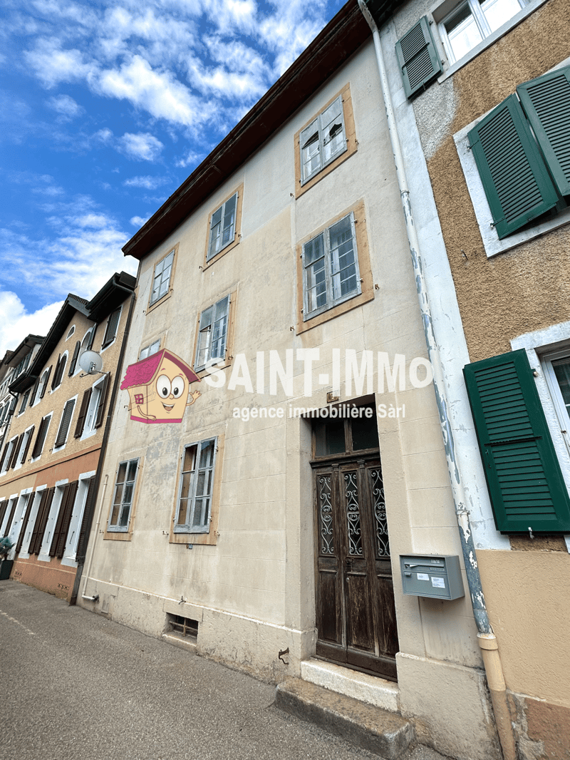 Immeuble locatif à rénover entièrement de 3 appartements, une remise / annexe et parcelle de jardin (1)