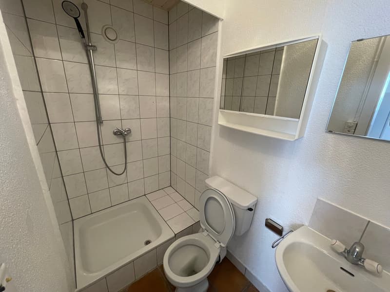 A louer: appartement 3 pièces - Rue du Midi 34, St-Imier (2ème étage) (5)