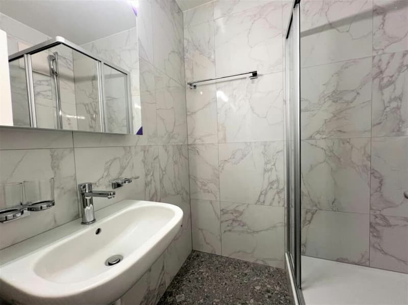 Appartement 3 pièces au Locle (4)