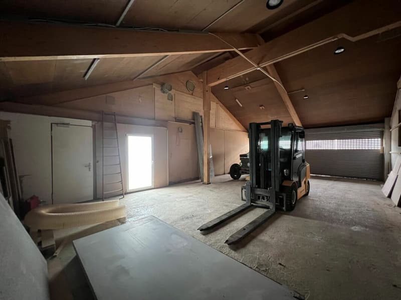 Saint-Blaise - Grand atelier avec bureaux et showroom attenant à une maison de 2 logements (5)