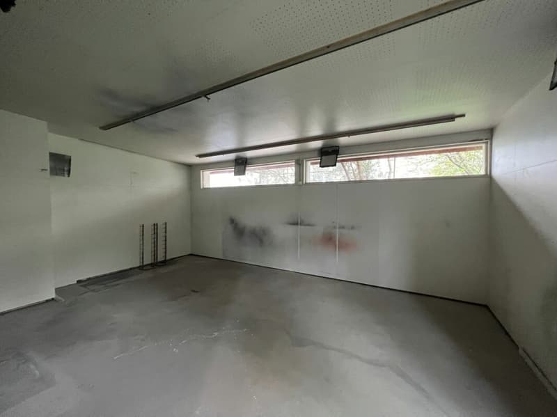 Saint-Blaise - Grand atelier avec bureaux et showroom attenant à une maison de 2 logements (7)