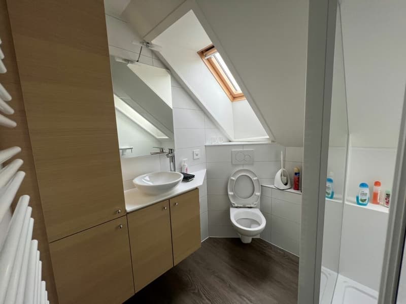 Saint-Blaise - Grand atelier avec bureaux et showroom attenant à une maison de 2 logements (11)