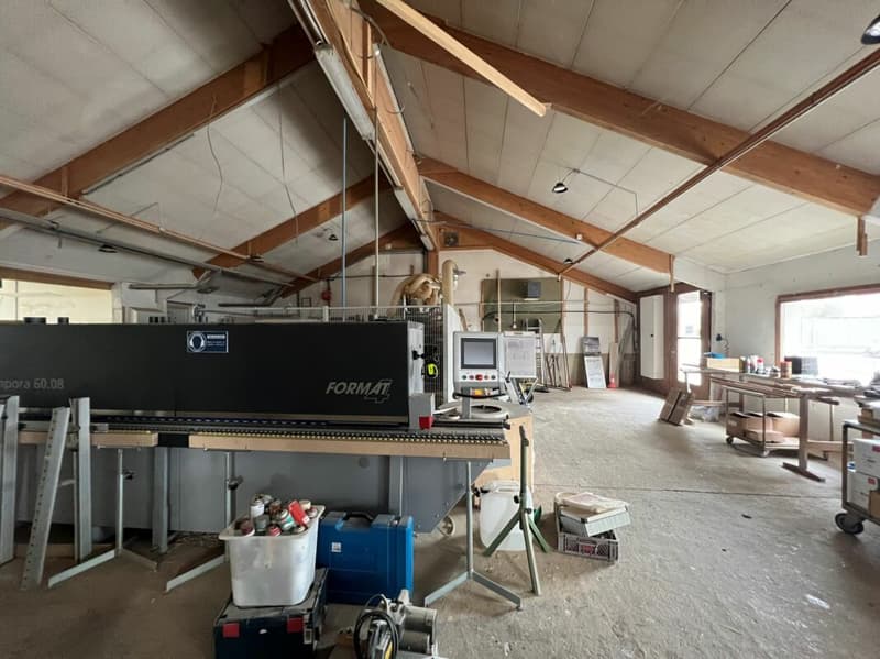 Saint-Blaise - Grand atelier avec bureaux et showroom attenant à une maison de 2 logements (4)