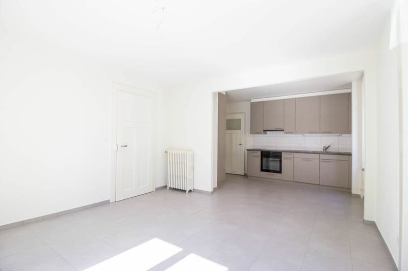 Jaluse 13 appartement de 3 pièces au Rez Est (7)