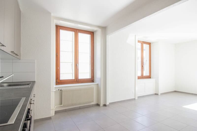 Jaluse 13 appartement de 3 pièces au Rez Est (9)