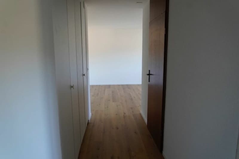 2 pièces au rez inférieur (3)