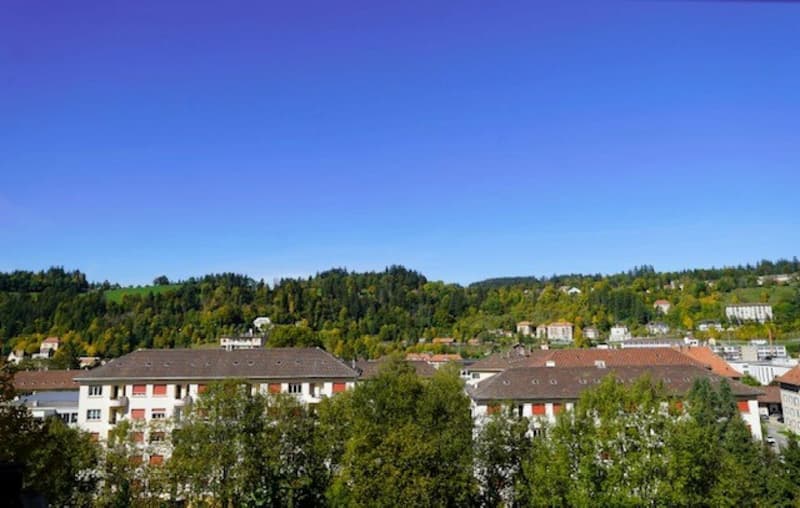 2 pièces au rez inférieur (4)