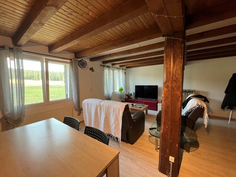 Appartement 4.5 pièces (4)