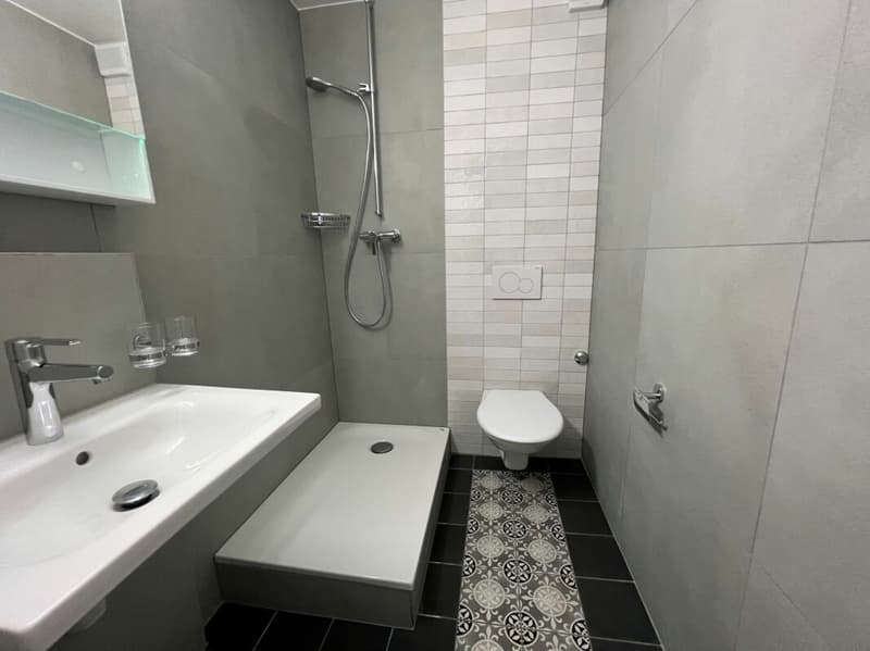 Hôtel-de-Ville 23 - Magnifique appartement rénové au rez-de-chaussée avec accès direct au jardin privatif (5)