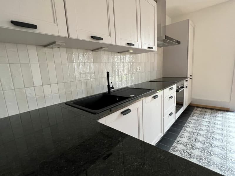 Hôtel-de-Ville 23 - Magnifique appartement rénové au rez-de-chaussée avec accès direct au jardin privatif (7)