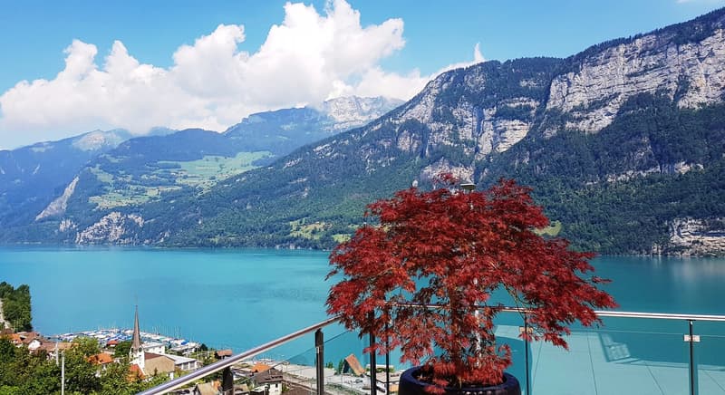 Exklusives Attika-Penthouse - Ihre Traumimmobilie am türkisfarbenen Walensee - 35 min. von Zürich (11)