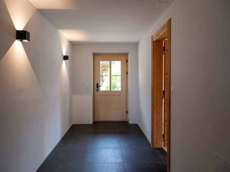 Corridor, dark tiles, white walls, wooden door, white switchboard