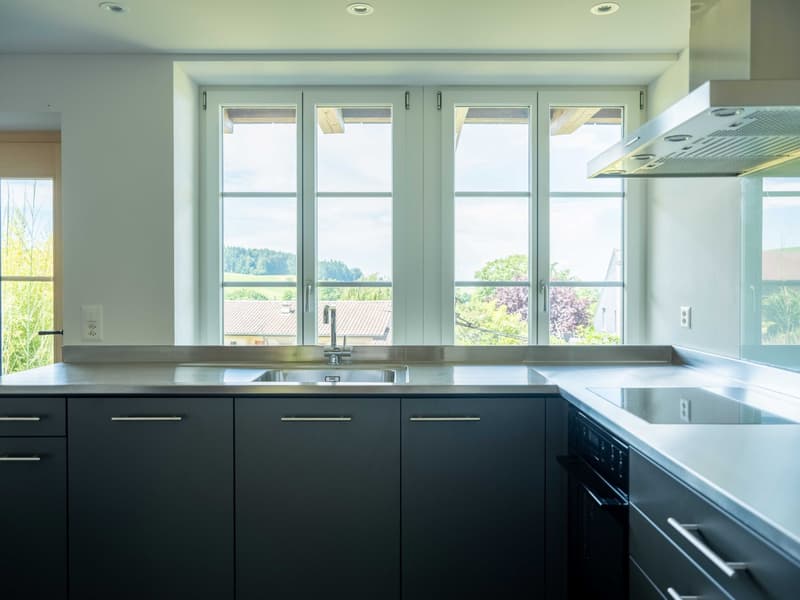 Stainless steel kitchen counter, two sinks, modern kitchen, large windows, modern electrical sockets