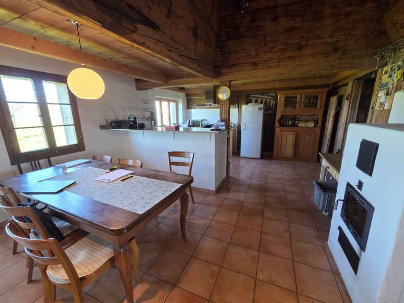 Kleines Bauernhaus im Grünen (2)