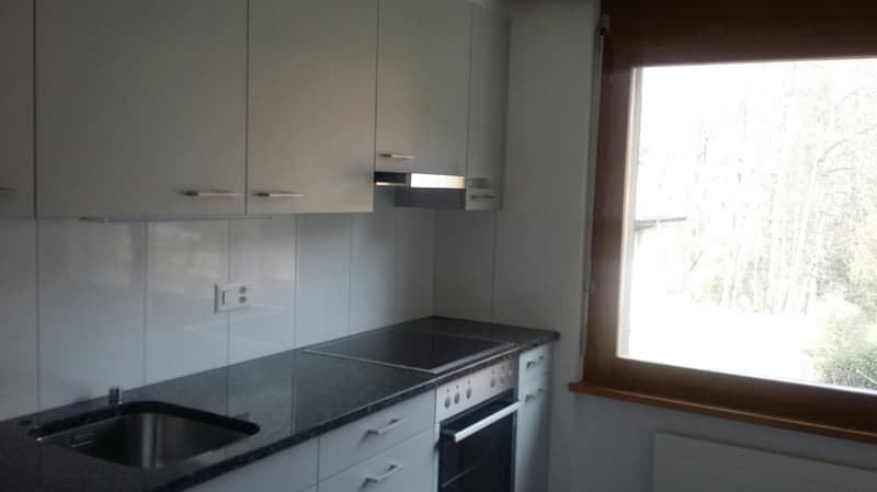 Gemütliche 3.5 Zimmer-Wohnung an ruhiger und familienfreundlicher Lage (4)