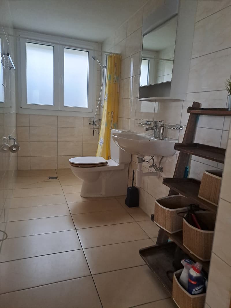 Charmantes Einfamilienhaus mit Studio (11)