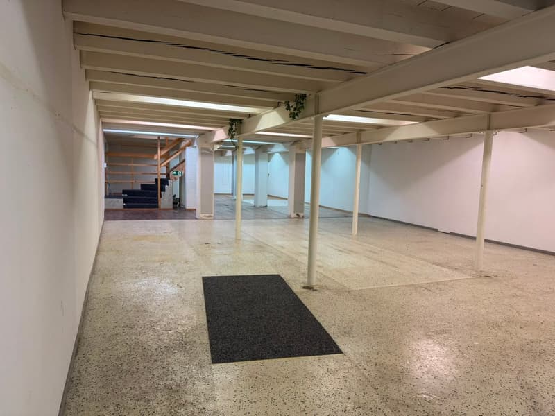 Vielseitige Gewerbeflächen zu vermieten (6)