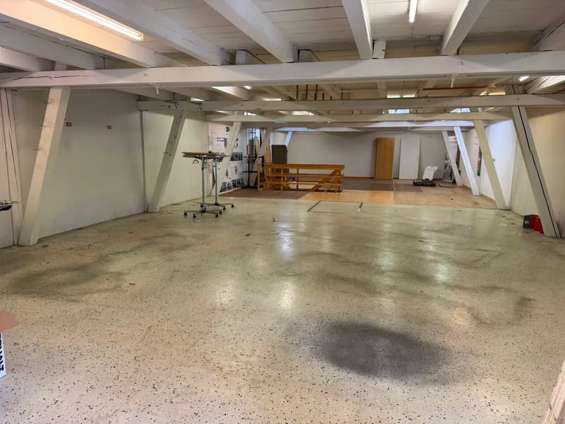 Vielseitige Gewerbeflächen zu vermieten (5)