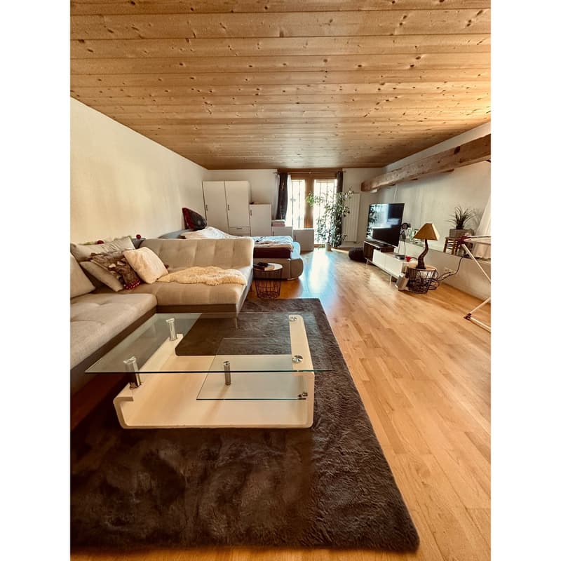 Charmantes 1.5 Zimmer-Bijou an zentraler Lage (3)