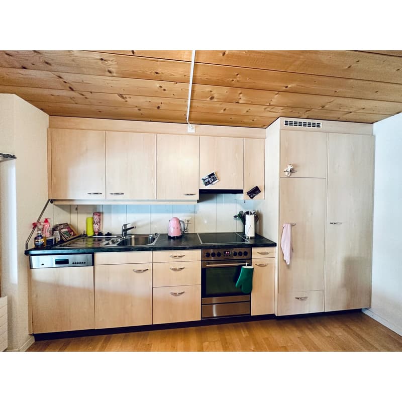 Charmantes 1.5 Zimmer-Bijou an zentraler Lage (5)