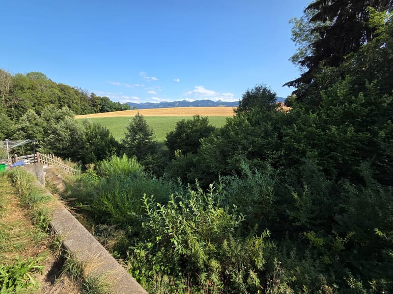 Charmantes Einfamilienhaus mit grosszügigem Grundstück und Blick in die Gantrischkette (24)