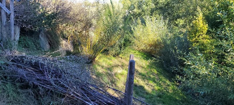 Charmantes Einfamilienhaus mit grosszügigem Grundstück und Blick in die Gantrischkette (26)