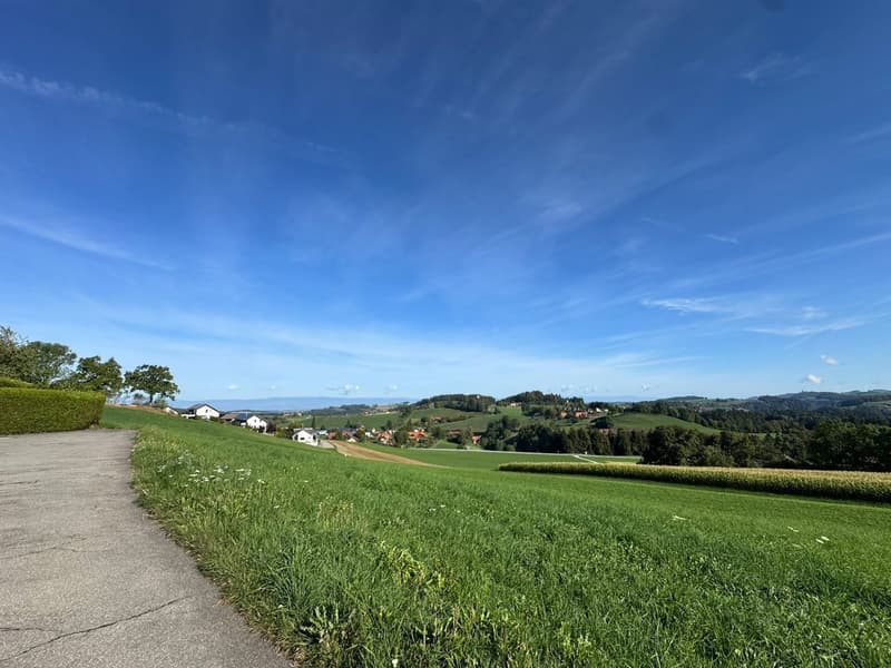 Künftiges Zuhause "Villa Grüebli" mit Panoramablick (16)