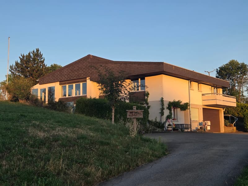 Künftiges Zuhause "Villa Grüebli" mit Panoramablick (2)