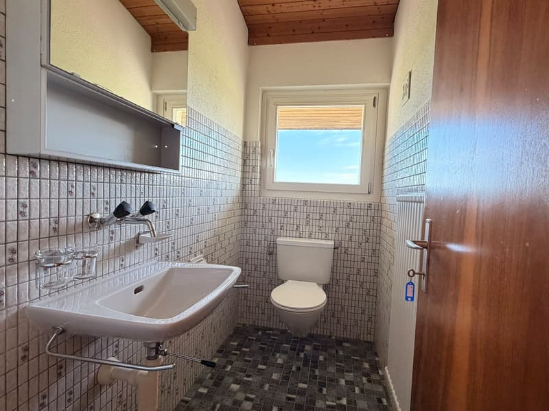 Künftiges Zuhause "Villa Grüebli" mit Panoramablick (11)