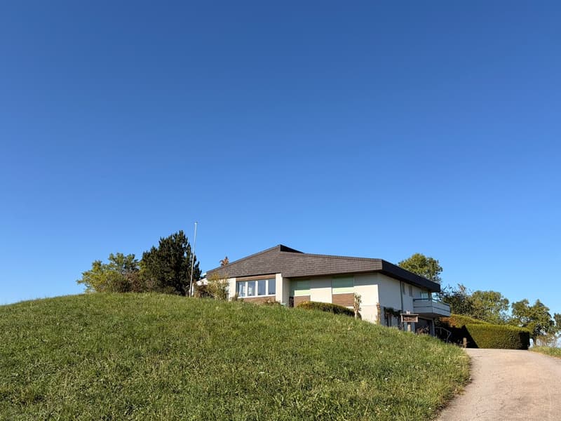 Künftiges Zuhause "Villa Grüebli" mit Panoramablick (18)