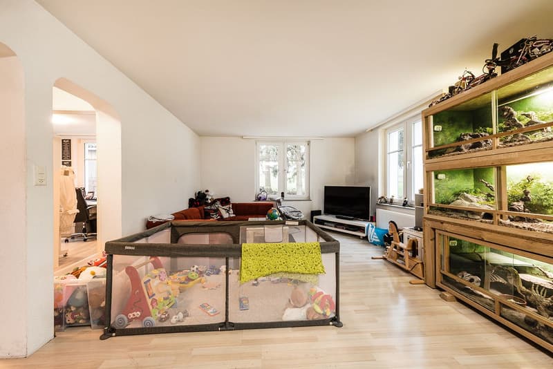 Casa multifamiliare con grande terreno e molto potenziale a Münchwilen (2)