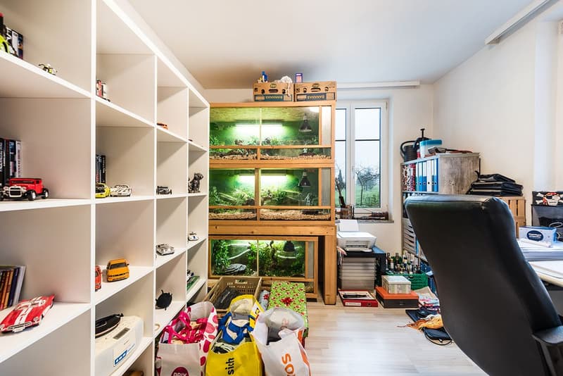 Casa multifamiliare con grande terreno e molto potenziale a Münchwilen (4)