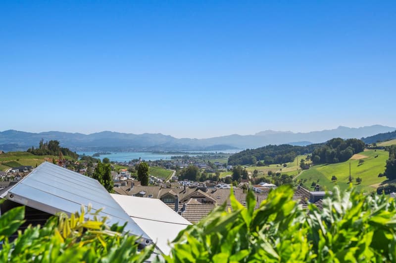 Top of Wilen b. Wollerau (1)