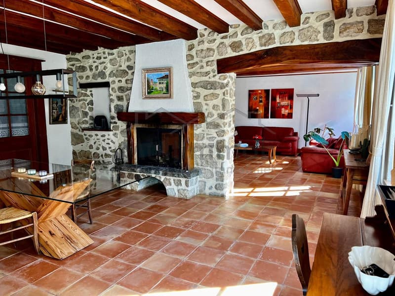 Maison villageoise de charme (7)