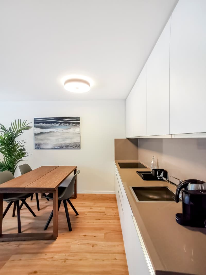 Möblierte 2 Zimmer Wohnung mit Balkon im Zentrum von Luzern – ab September 2026 verfügbar (3)