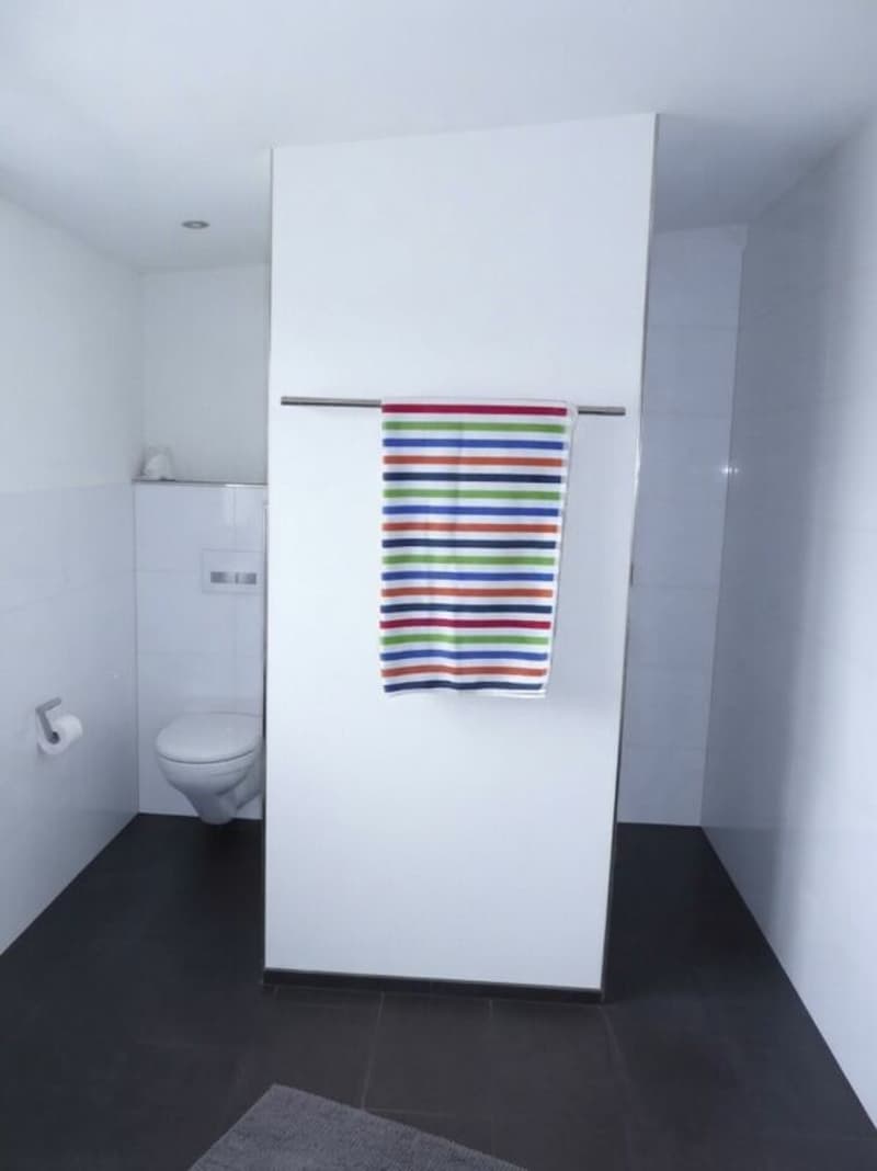 Grosse 3.5 Zimmer, Attikawohnung im Zentrum von Schötz (7)