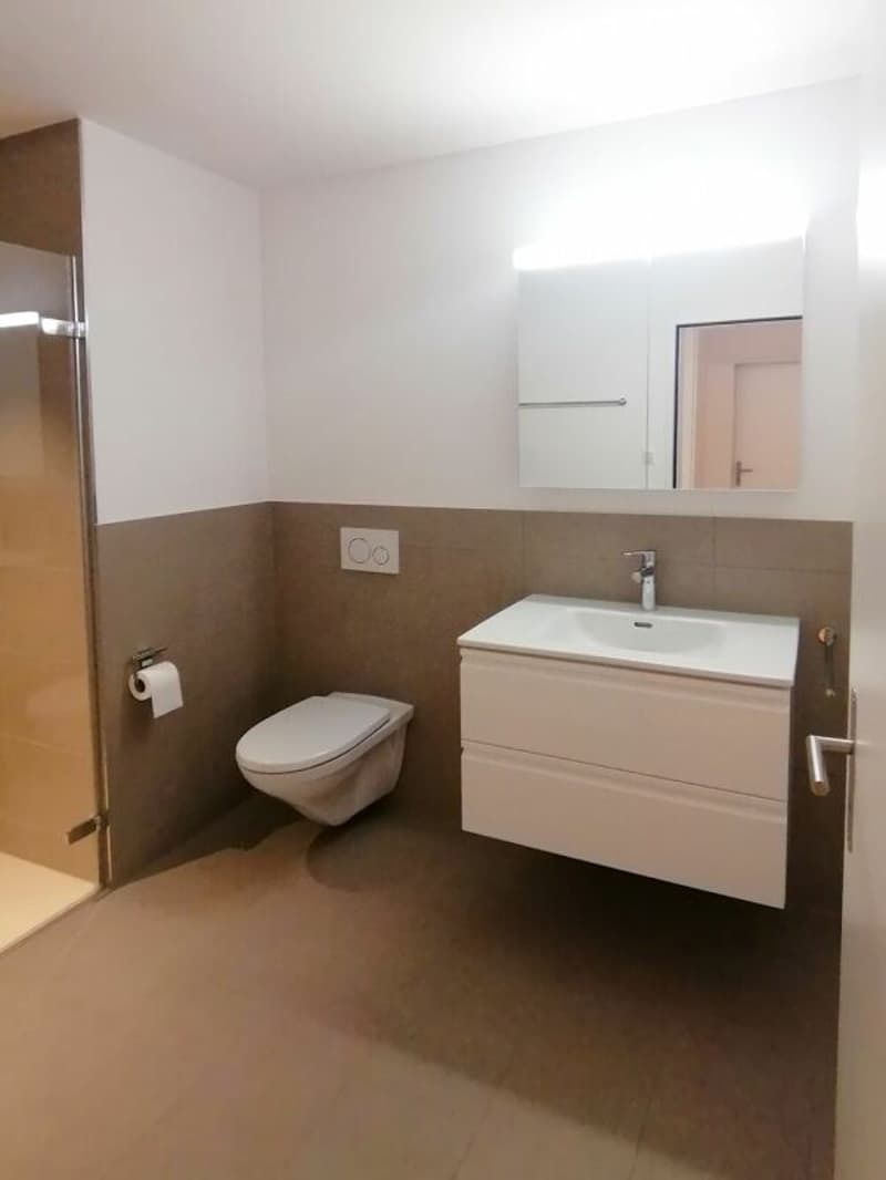 Moderne 3.5-Zimmer-Gartenwohnung an ruhiger Lage (8)