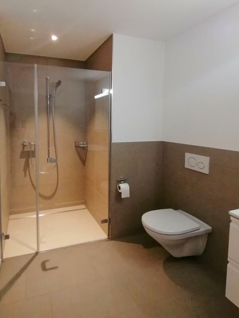 Moderne 3.5-Zimmer-Gartenwohnung an ruhiger Lage (7)