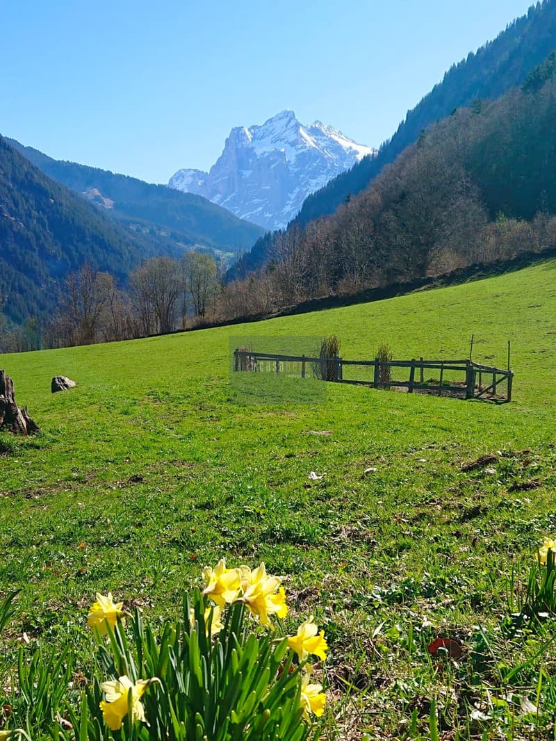 Ein hochwertig-rustikales Hideaway wie im Bilderbuch für Seelenfrieden pur (als Airbnb nutzbar) (8)