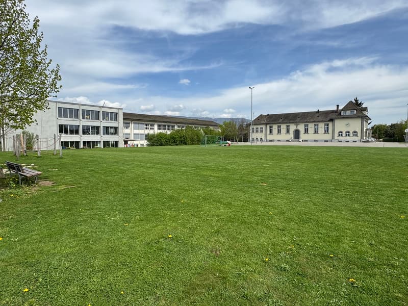 Charmantes 4.5-Zimmer Duplex-/Maisonette-Wohnung in ruhiger Lage von Luterbach (28)
