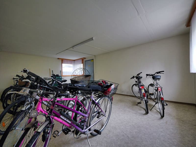Charmantes 4.5-Zimmer Duplex-/Maisonette-Wohnung in ruhiger Lage von Luterbach (22)