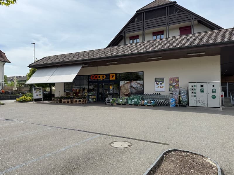 Charmantes 4.5-Zimmer Duplex-/Maisonette-Wohnung in ruhiger Lage von Luterbach (29)