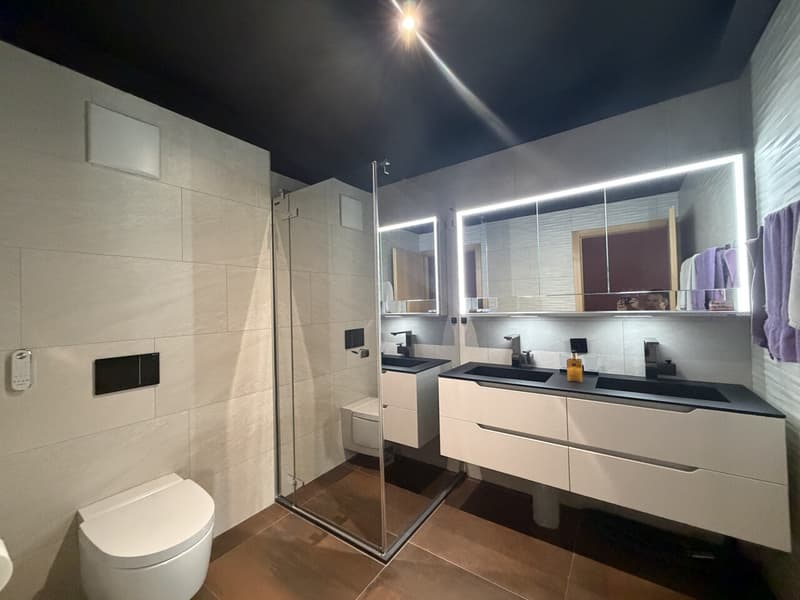 Villa contemporaine avec piscine (6)