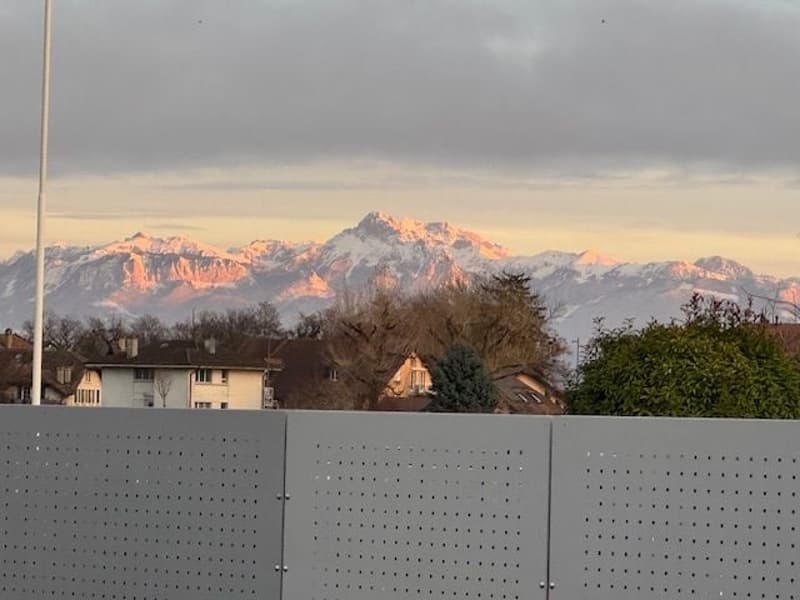 Immeuble moderniste de 2 appartements + locaux (2)