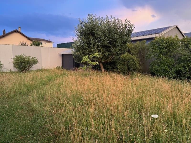 Villa moderniste pour indépendant/e/s ou créatif avec projet multigénérationnel (14)