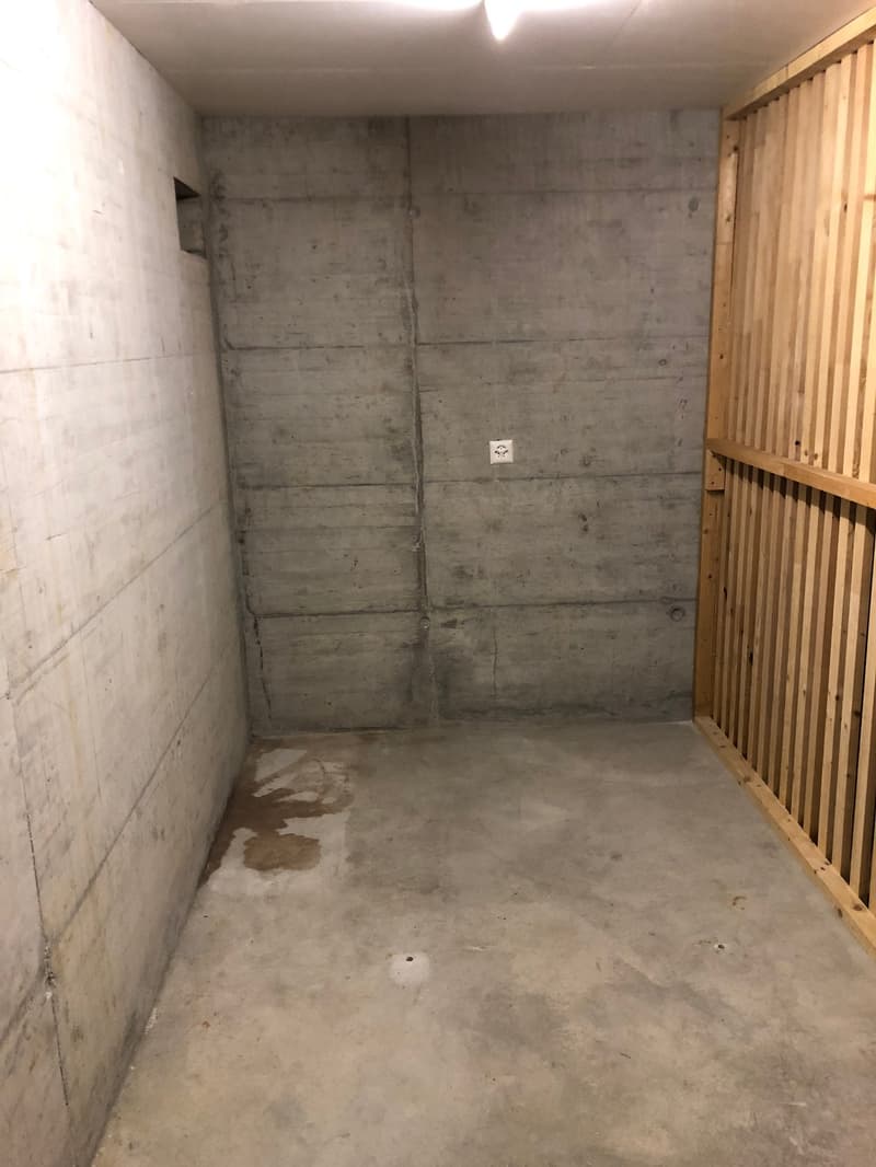 À louer spacieux et bel appartement de 2,5 pièces (7)